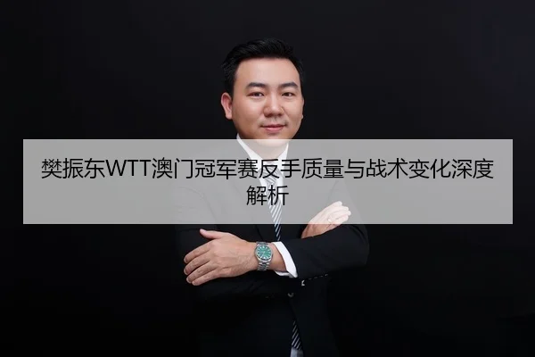 樊振东WTT澳门冠军赛反手质量与战术变化深度解析