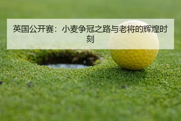ying-guo-gong-kai-sai-xiao-mai-zheng-guan-zhi-lu-yu-lao-jiang-de-hui-huang-shi-ke-2-524.jpg