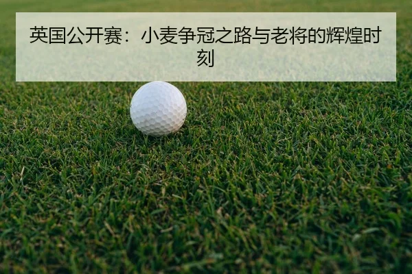 ying-guo-gong-kai-sai-xiao-mai-zheng-guan-zhi-lu-yu-lao-jiang-de-hui-huang-shi-ke-3-831.jpg