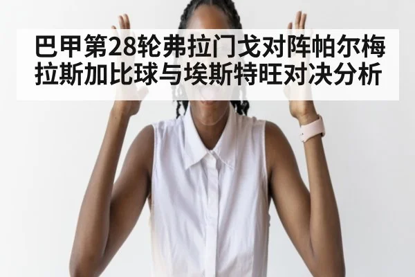 巴甲第28轮弗拉门戈对阵帕尔梅拉斯加比球与埃斯特旺对决分析